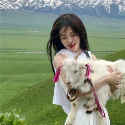 休想行刺本王小姐封面