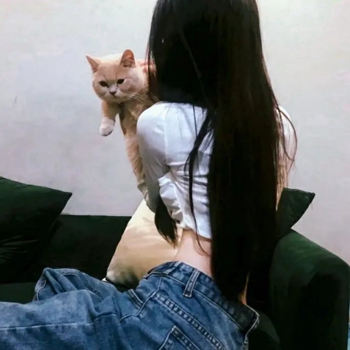 猿封面